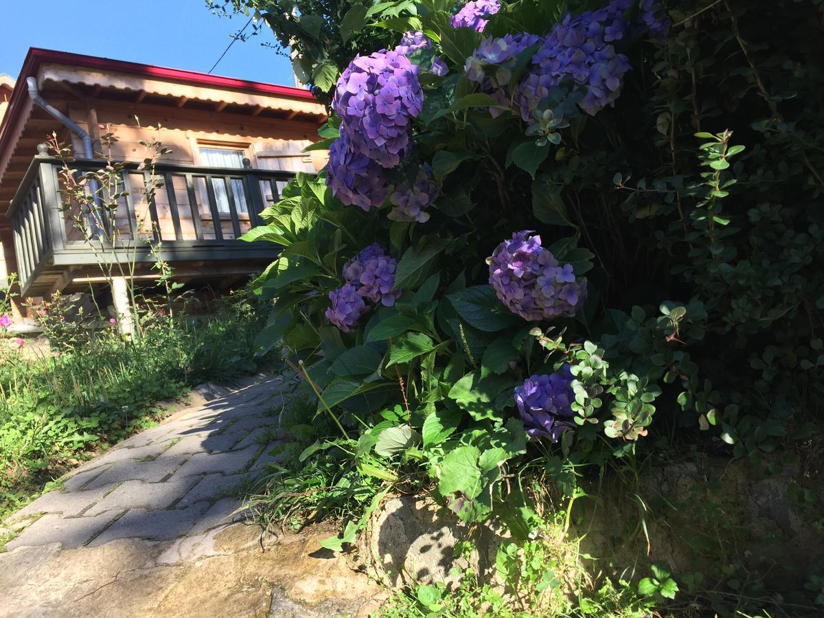 Pilita Bungalov&Rest Ayder Exterior foto
