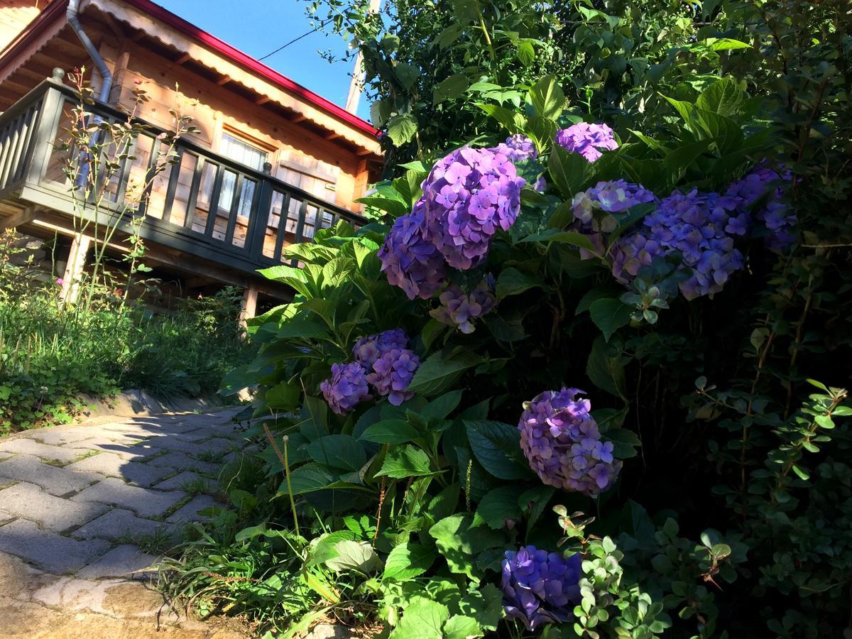 Pilita Bungalov&Rest Ayder Exterior foto